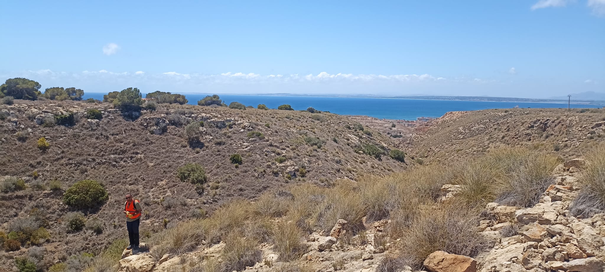 B. Y. Nassim Benabdeloued